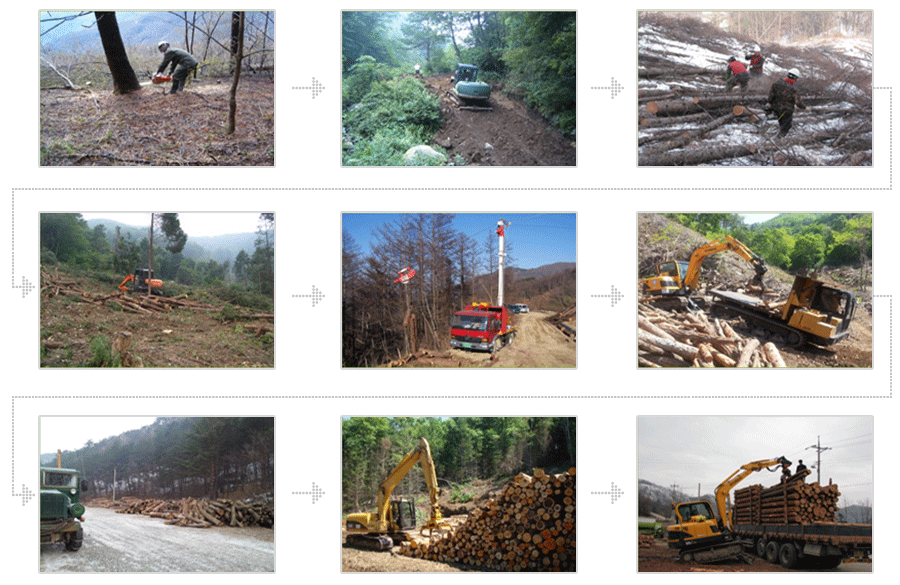 임목수확 프로세스